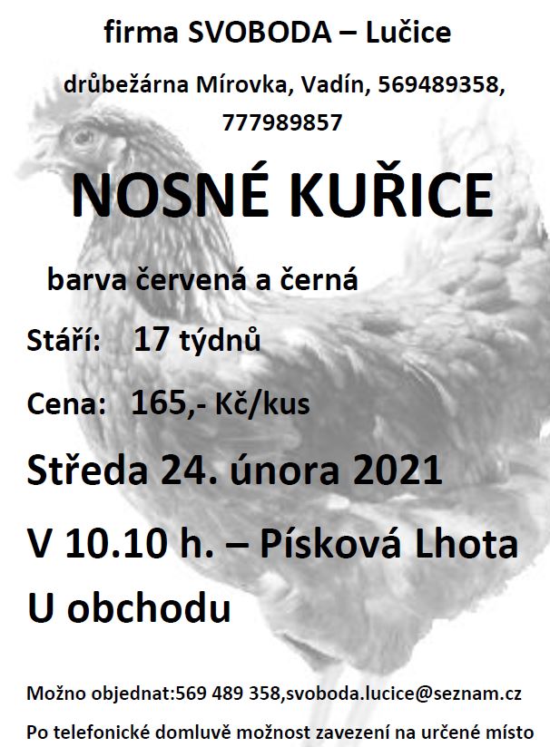 Prodej kuřic.JPG